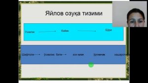 Бабамурадова Н Ж Экосистема тузилиши озуқа занжирлари