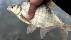 ВЕСЕННИИЙ МИКРО-НАНО ДЖИГ.