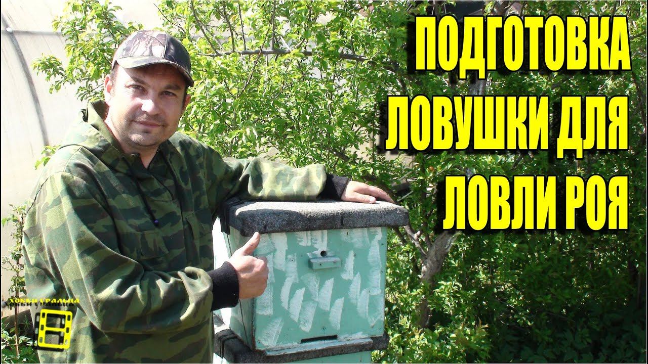 ПОДГОТОВКА ЛОВУШКИ ДЛЯ ЛОВЛИ БРОДЯЧЕГО РОЯ. ЛОВЛЯ РОЕВ ИЛИ ПЧЕЛЫ БЕСПЛАТНО ЧАСТЬ 1 #РОЙ #ЛОВУШКА