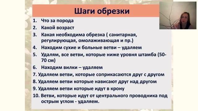 Обрезка плодовых деревьев