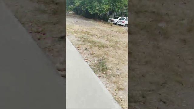 Блог иду в школу здовать и получать учебники смотреть онлайн