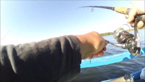 Рыбалка на фидер. Белоярское водохранилище 6 июня 2020 г.