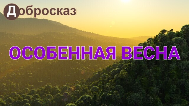 Особенная весна (плейлист "Добросказ")