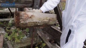 БЕСПЛАТНОЕ ЭЛЕКТРИЧЕСТВО / Атмосферная Энергия / Илон Маск в России / Доступное Электричество