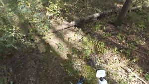 Беркут рвет всех, первые находки с прибором АКА Беркут-5