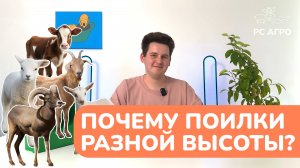 ПОЕНИЕ ЖИВОТНЫХ: КАК ВЫБРАТЬ ВЫСОТУ?