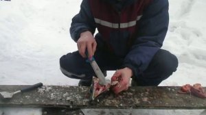 Как почистить щуку со спины.