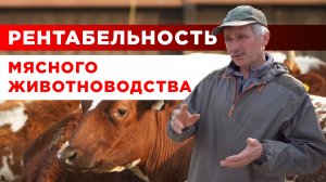Рентабельность ферм | Молочное и мясное животноводство | КФХ Герефорд
