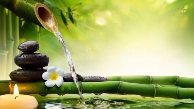 Исцеление женских болезней смотреть онлайн