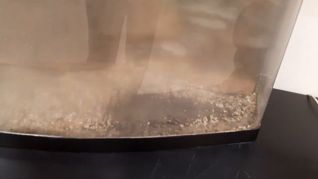 Чистка старого аквариума смотреть онлайн