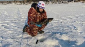 рыбалка судака.милые женщины с 8 марта вас