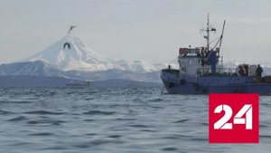 День пограничника: как охраняют морские рубежи - Россия 24 