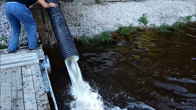 Зарыбление 1870 кг. верхнего пруда карпом. смотреть онлайн