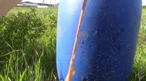 Спасаемся от мошкары. Хожу по участку в одних шортах!