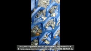 Лесная прогулка на реку, мою золото мини драгой с электро насосом 12в.