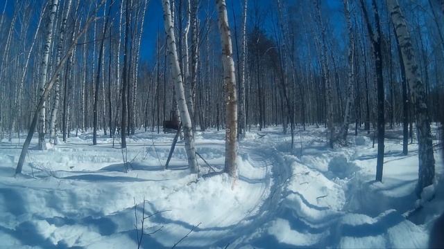 Трактор т-70 трелевка леса.