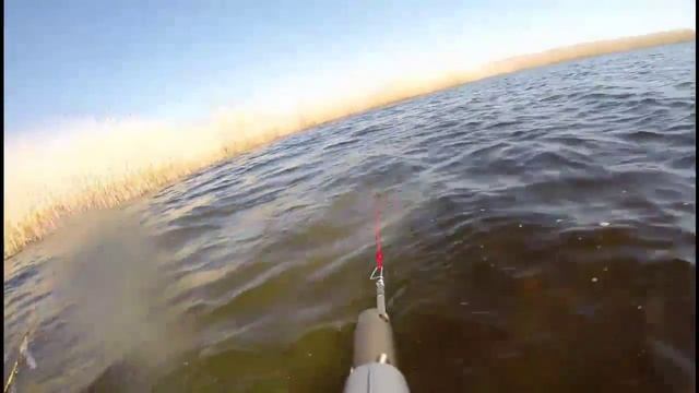 Подводная охота. Сом 25 кг. Астрахань. Апрель. Раскаты. смотреть онлайн