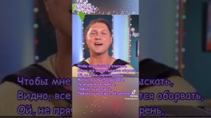 Александр Бардин расцвела сирень черкмуха в саду