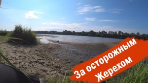 ЖЕРЕХ по песчаным косам В КОНЦЕ ЛЕТА 2021. Рыбалка на спиннинг (2021)
