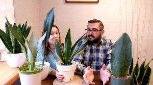 S01E06. Сансевиерии.Коллекция