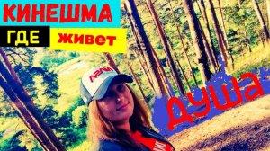 КИНЕШМА/ГОРОД НА ВОЛГЕ/ПОТРЯСАЮЩАЯ РУССКАЯ ПРИРОДА/Душа поет