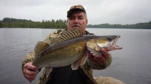 судак,раки,гадюка,плот для лягвеца-сентябрь 2011