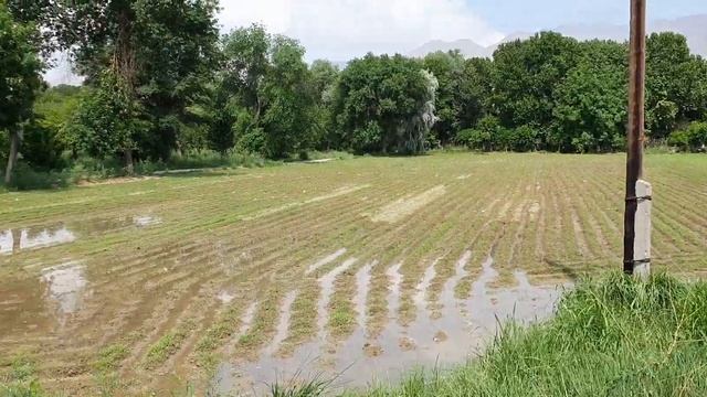 Чумчук Арал прогулка 6 мая. Худжанд 2022 (часть 4) смотреть онлайн