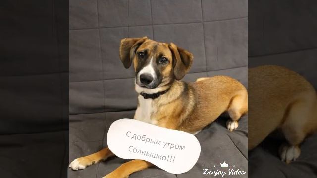 Картинки о любви смотреть онлайн