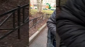 Использование воздуходувки во дворе жилого дома по адресу ПОДВОЙСКОГО 14-1. от 19.11.2021 в 10:05ча