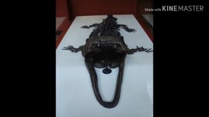 Кулазух-грозный хищник