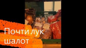 Почти лук шалот