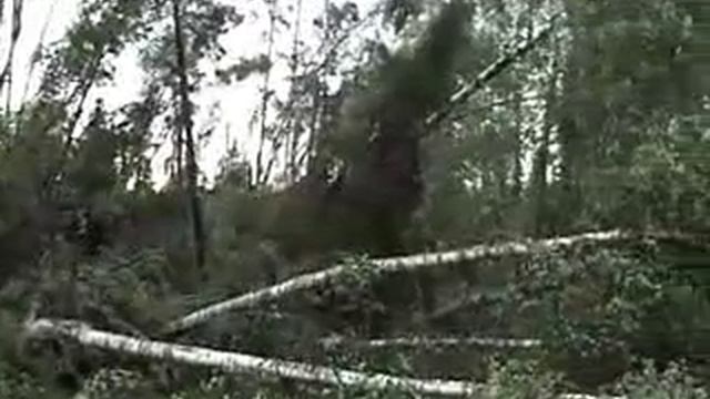 Карель 2010 часть 1.flv