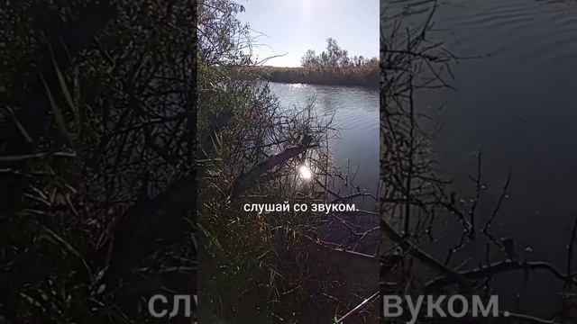 Рыбалка в станице. #голубицкая #жизньнаморе #рыбалка2022
