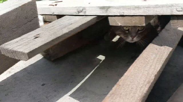 Жизнь на даче. Строю каркасный дом. Зашиваю второй этаж. смотреть онлайн