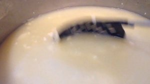 Маасдам/Как Сварить Сыр в Домашних Условиях/Рецепт швейцарского сыра