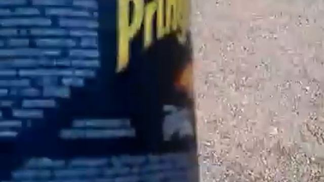 Обзор чипсов Принглз смотреть онлайн