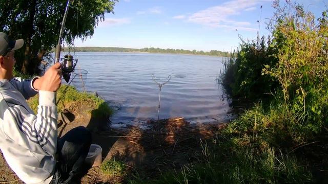 Фидерная рыбалка на Днепре. Местный совет очень понравился карасю#2022 #фидер смотреть онлайн