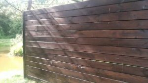 сосновый планкен спустя год