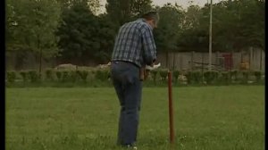 Шнауцер (Цвергшнауцер, Миттельшнауцер, Ризеншнауцер)