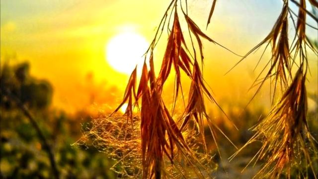 "ТВОЁ ЗЕРКАЛО" стихи Анастасия Одесса смотреть онлайн