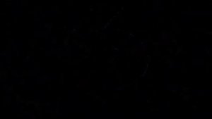 God Premium Giant Turbo Best Animation Logos Might Confuse You