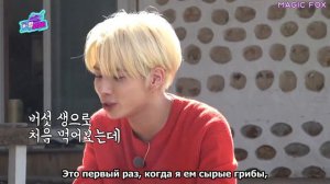 «K-BOP STAR» с TXT в гостях. Шикарный мукбанг с хрустящим тонг-огёпсалем!