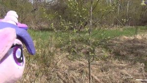 Twilight Sparkle in real life. Прогулка с Твайлайт.
