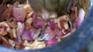 Тайская уличная еда - Гигантский бычий хвост с авокадо и зеленным карри.