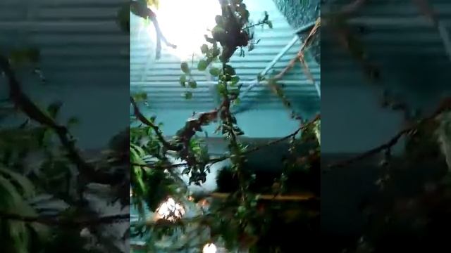 Киев аквапарк юрского периода в дримтаун 2 смотреть онлайн