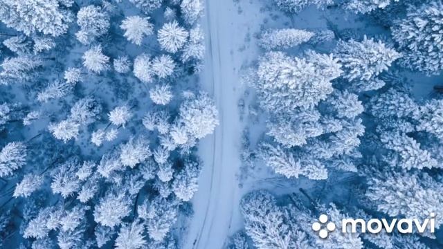 Волшебная кельтская музыка, музыка друидов