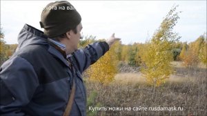 Охота на вальдшнепа на осенних высыпках. Где искать вальдшнепиные высыпки.