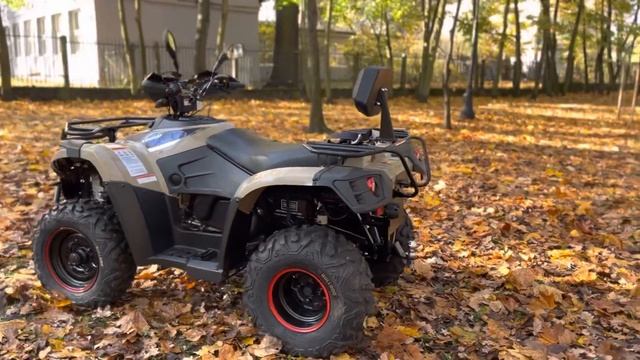 Linhai 300 4x4