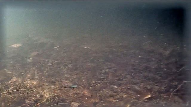 Под понтоны с подводной камерой смотреть онлайн