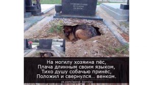 ДРУГ Леонид Корнилов